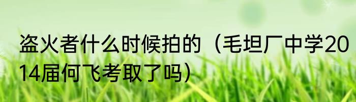 盗火者什么时候拍的（毛坦厂中学2014届何飞考取了吗）