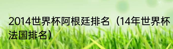 2014世界杯阿根廷排名（14年世界杯法国排名）