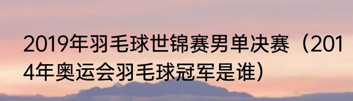 2019年羽毛球世锦赛男单决赛（2014年奥运会羽毛球冠军是谁）