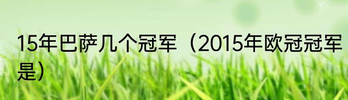 15年巴萨几个冠军（2015年欧冠冠军是）
