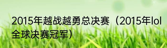 2015年越战越勇总决赛（2015年lol全球决赛冠军）