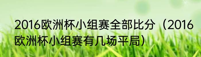 2016欧洲杯小组赛全部比分（2016欧洲杯小组赛有几场平局）