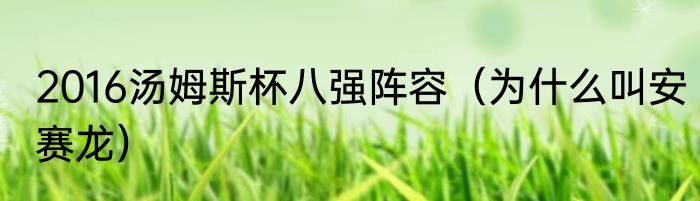 2016汤姆斯杯八强阵容（为什么叫安赛龙）