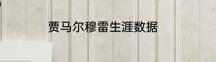 贾马尔穆雷生涯数据