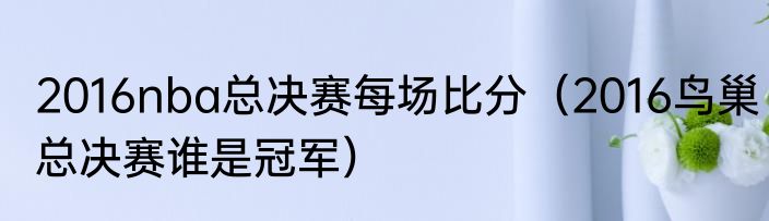 2016nba总决赛每场比分（2016鸟巢总决赛谁是冠军）