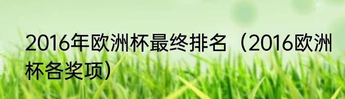 2016年欧洲杯最终排名（2016欧洲杯各奖项）