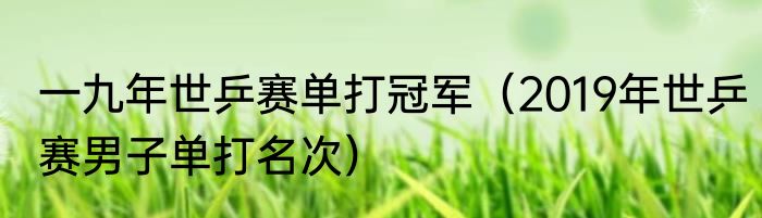 一九年世乒赛单打冠军（2019年世乒赛男子单打名次）
