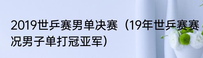 2019世乒赛男单决赛（19年世乒赛赛况男子单打冠亚军）