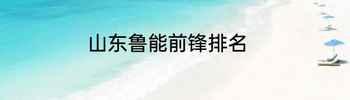 山东鲁能前锋排名