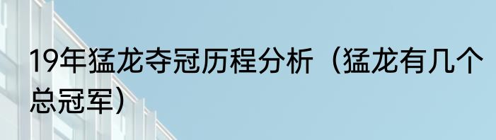 19年猛龙夺冠历程分析(猛龙有几个总冠军)