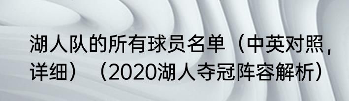 湖人队的所有球员名单（中英对照，详细）（2020湖人夺冠阵容解析）
