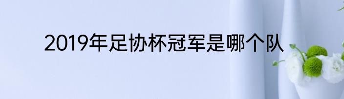 2019年足协杯冠军是哪个队