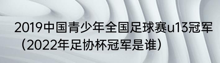 2019中国青少年全国足球赛u13冠军（2022年足协杯冠军是谁）