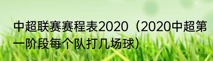 中超联赛赛程表2020（2020中超第一阶段每个队打几场球）