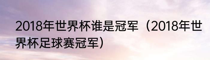 2018年世界杯谁是冠军（2018年世界杯足球赛冠军）