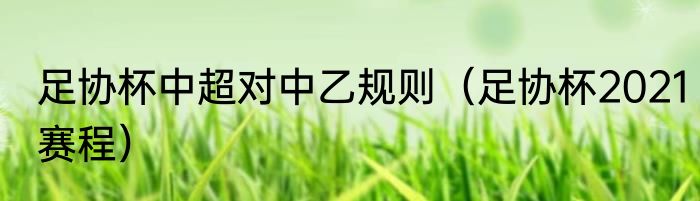 足协杯中超对中乙规则（足协杯2021赛程）