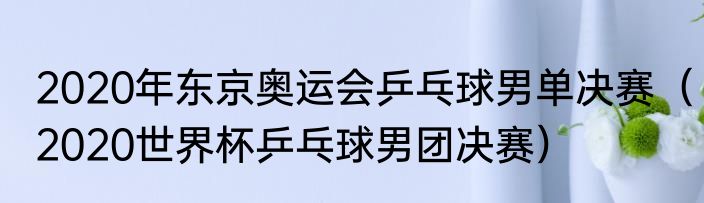 2020年东京奥运会乒乓球男单决赛(2020世界杯乒乓球男团决赛)