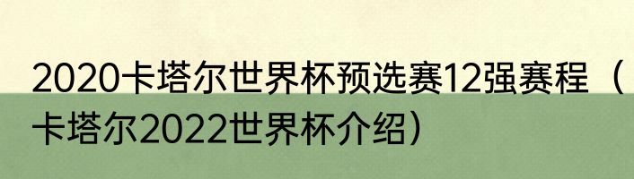 2020卡塔尔世界杯预选赛12强赛程（卡塔尔2022世界杯介绍）