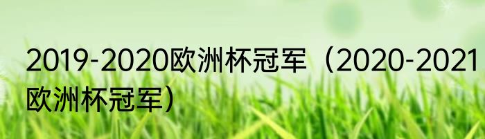 2019-2020欧洲杯冠军（2020-2021欧洲杯冠军）