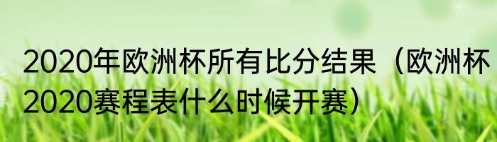 2020年欧洲杯所有比分结果（欧洲杯2020赛程表什么时候开赛）