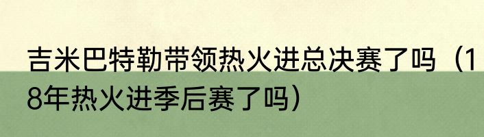 吉米巴特勒带领热火进总决赛了吗（18年热火进季后赛了吗）