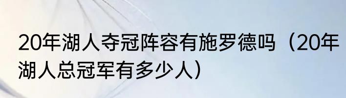 20年湖人夺冠阵容有施罗德吗（20年湖人总冠军有多少人）