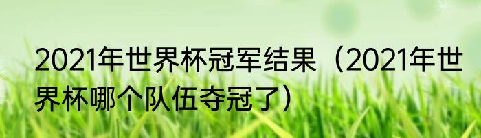 2021年世界杯冠军结果（2021年世界杯哪个队伍夺冠了）