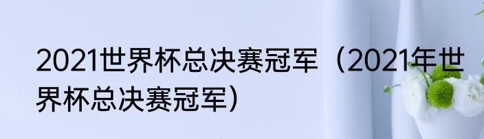 2021世界杯总决赛冠军（2021年世界杯总决赛冠军）