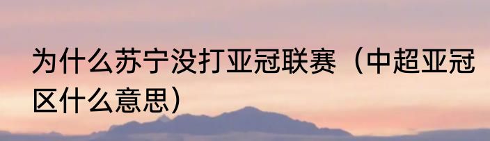 为什么苏宁没打亚冠联赛（中超亚冠区什么意思）