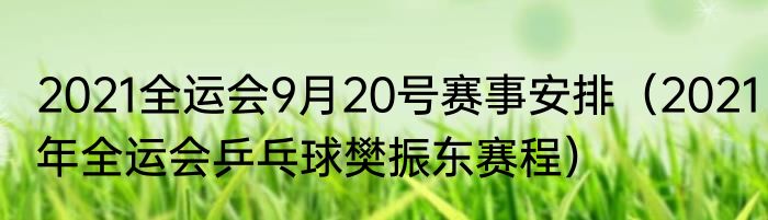 2021全运会9月20号赛事安排（2021年全运会乒乓球樊振东赛程）