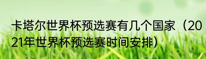 卡塔尔世界杯预选赛有几个国家（2021年世界杯预选赛时间安排）