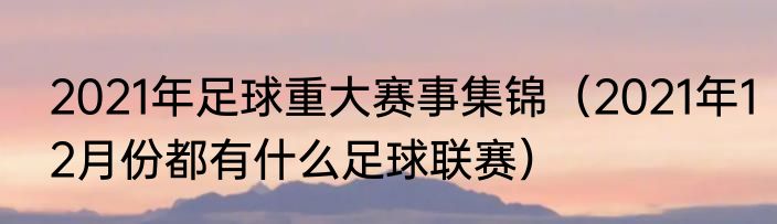 2021年足球重大赛事集锦（2021年12月份都有什么足球联赛）