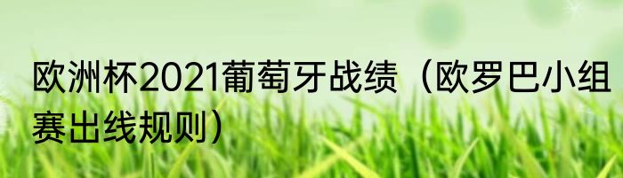 欧洲杯2021葡萄牙战绩（欧罗巴小组赛出线规则）