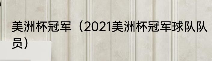 美洲杯冠军（2021美洲杯冠军球队队员）