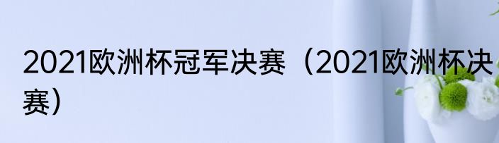 2021欧洲杯冠军决赛（2021欧洲杯决赛）