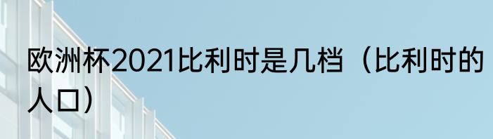 欧洲杯2021比利时是几档（比利时的人口）
