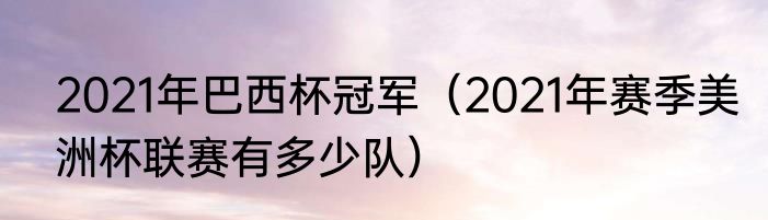 2021年巴西杯冠军（2021年赛季美洲杯联赛有多少队）