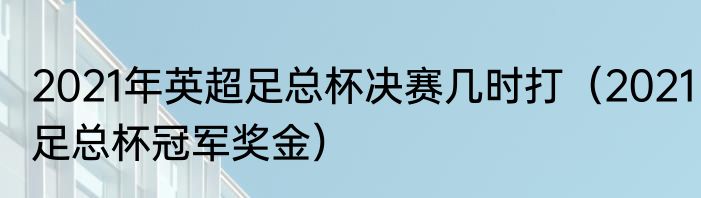 2021年英超足总杯决赛几时打（2021足总杯冠军奖金）