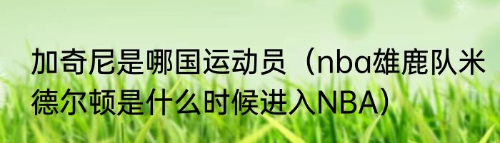 加奇尼是哪国运动员（nba雄鹿队米德尔顿是什么时候进入NBA）