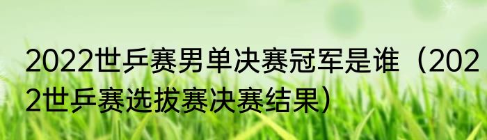 2022世乒赛男单决赛冠军是谁（2022世乒赛选拔赛决赛结果）