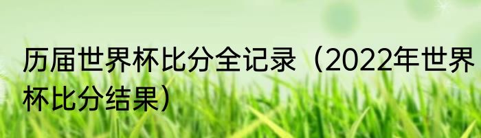 历届世界杯比分全记录（2022年世界杯比分结果）