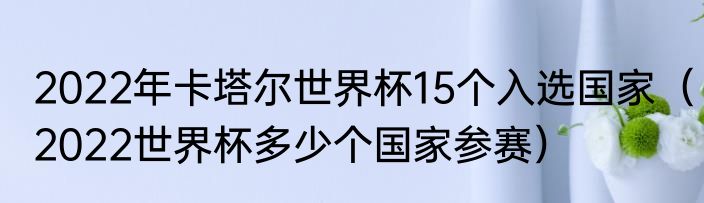 2022年卡塔尔世界杯15个入选国家（2022世界杯多少个国家参赛）