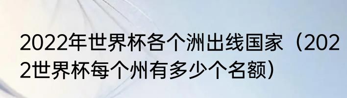 2022年世界杯各个洲出线国家（2022世界杯每个州有多少个名额）