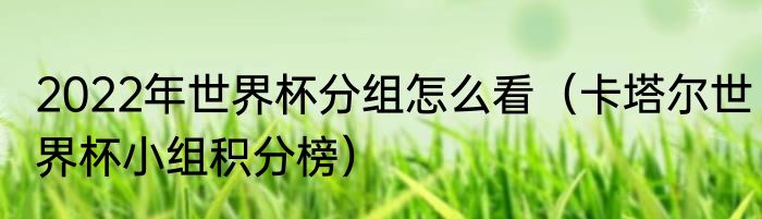 2022年世界杯分组怎么看（卡塔尔世界杯小组积分榜）