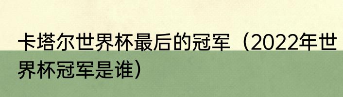 卡塔尔世界杯最后的冠军（2022年世界杯冠军是谁）