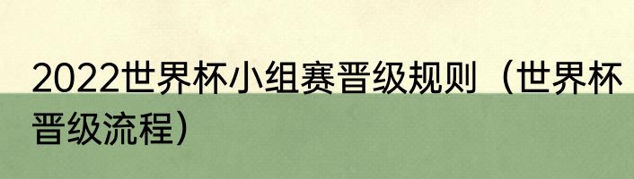 2022世界杯小组赛晋级规则（世界杯晋级流程）