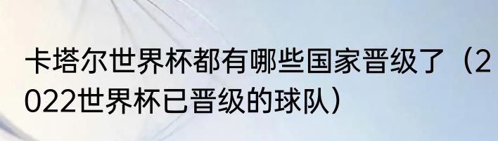 卡塔尔世界杯都有哪些国家晋级了（2022世界杯已晋级的球队）