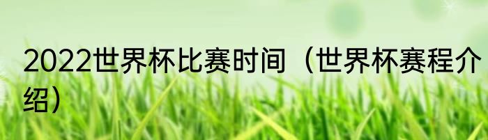 2022世界杯比赛时间（世界杯赛程介绍）