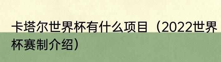 卡塔尔世界杯有什么项目（2022世界杯赛制介绍）
