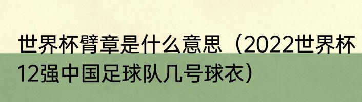 世界杯臂章是什么意思（2022世界杯12强中国足球队几号球衣）